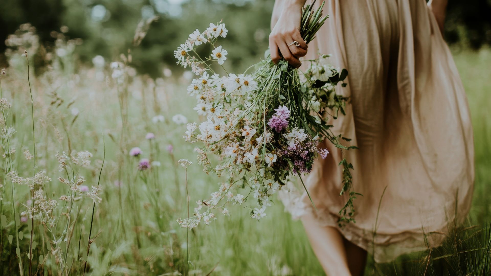 gentle-reset-life-coaching-package-julie-rogerson