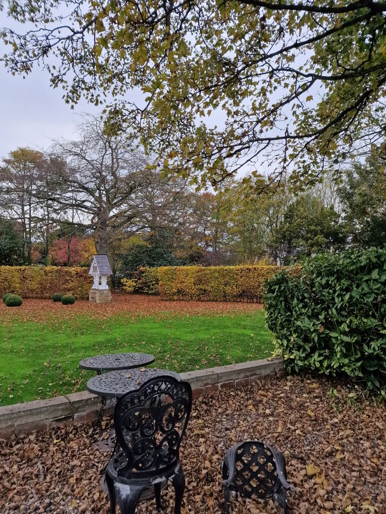 mindful-retreat-day-julie-rogerson-east-yorkshire-dunedin