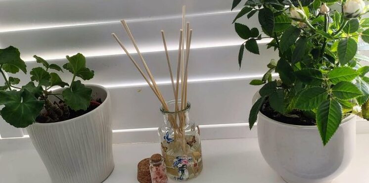calm-and-create-make-your-own-aromatherapy-reed-diffuser
